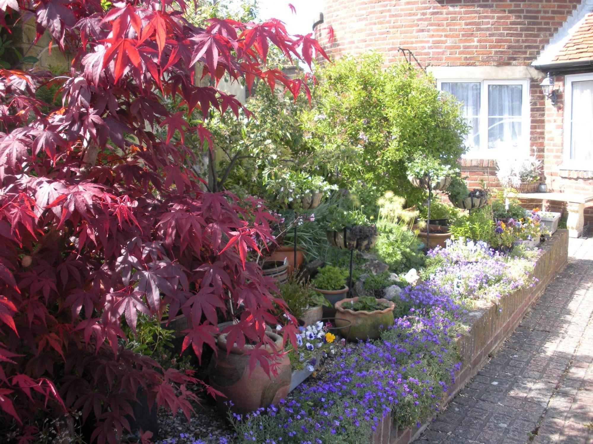 Bed and Breakfast Manor Farm Oast Winchelsea Exterior foto